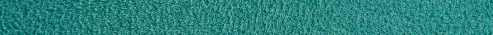 Carpet Cleaner Staten Island - brooklyn